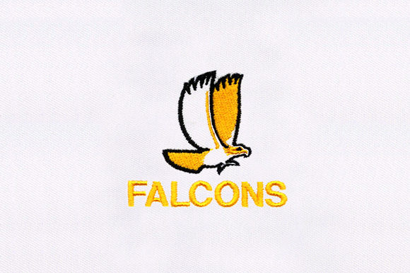 Falcon Embroidery Design Review